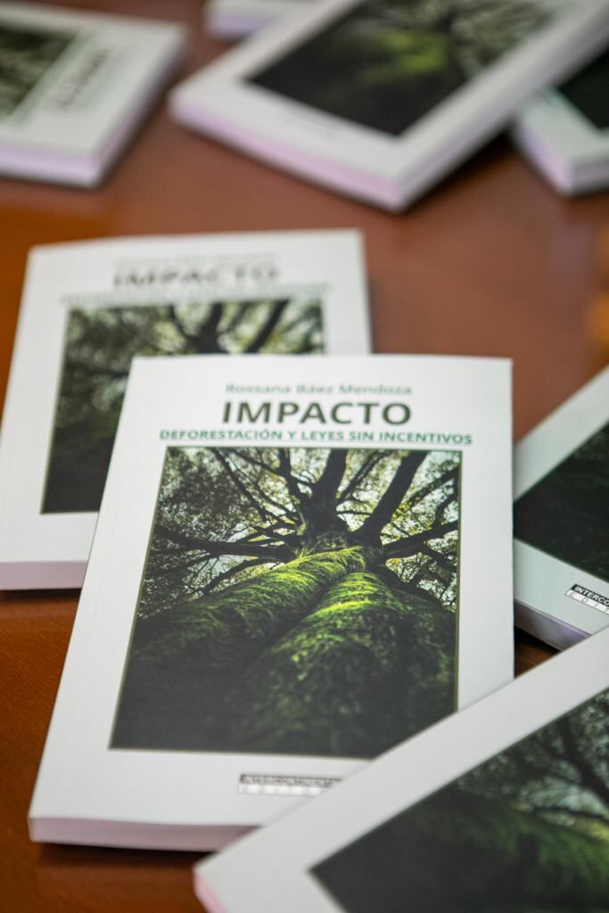 IMPACTO. Deforestación y Leyes sin Incentivos